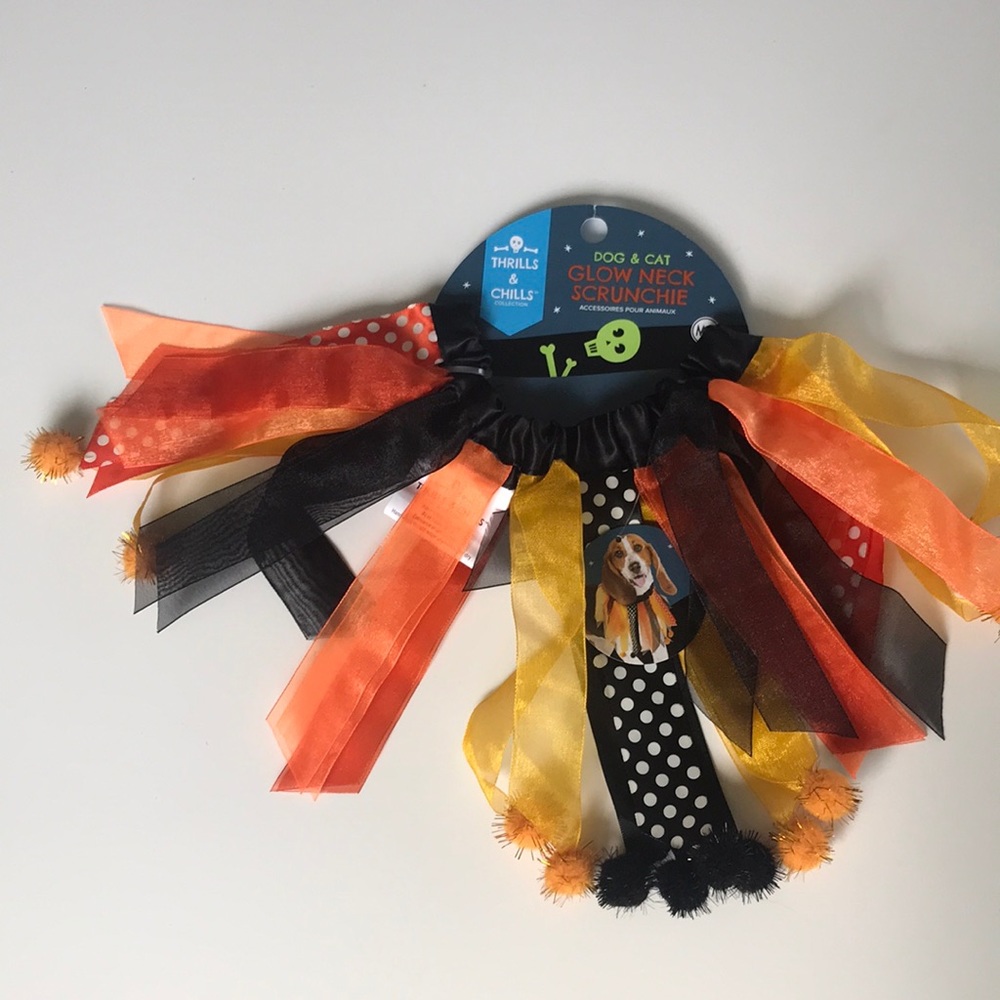 Dog/cat fall holiday collar!